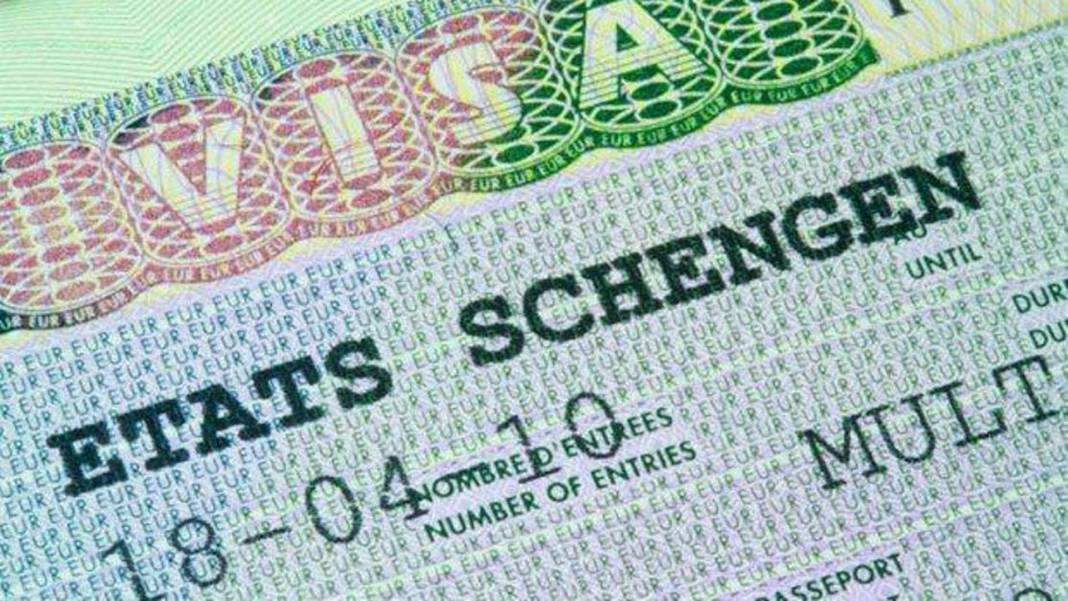 Vize krizi sürüyor: Başvurular neden uzun sürüyor, kaç kişiye vize veriliyor, yeşil pasaportlar nasıl etkiliyor? 1